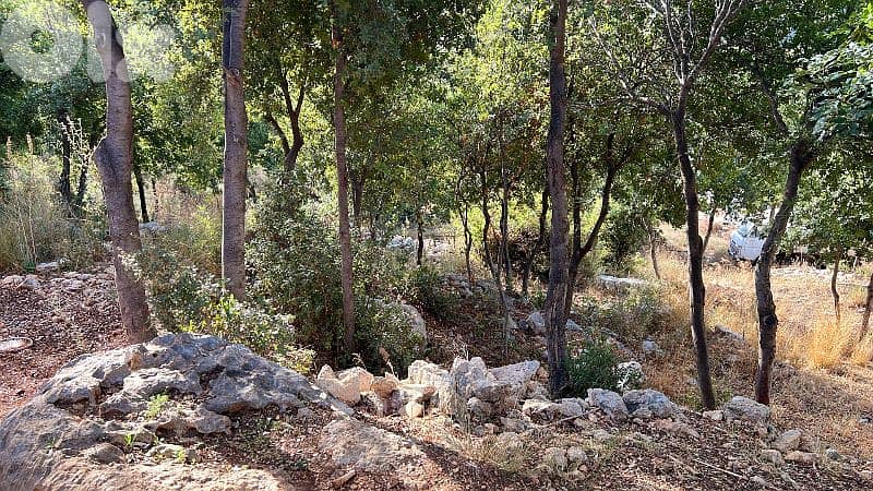 lands for sale in Oura أرض للبيع في عورا 5