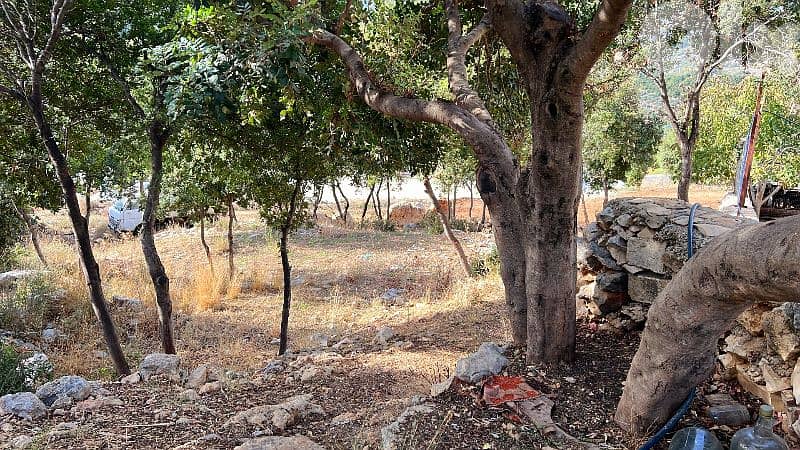 lands for sale in Oura أرض للبيع في عورا 6