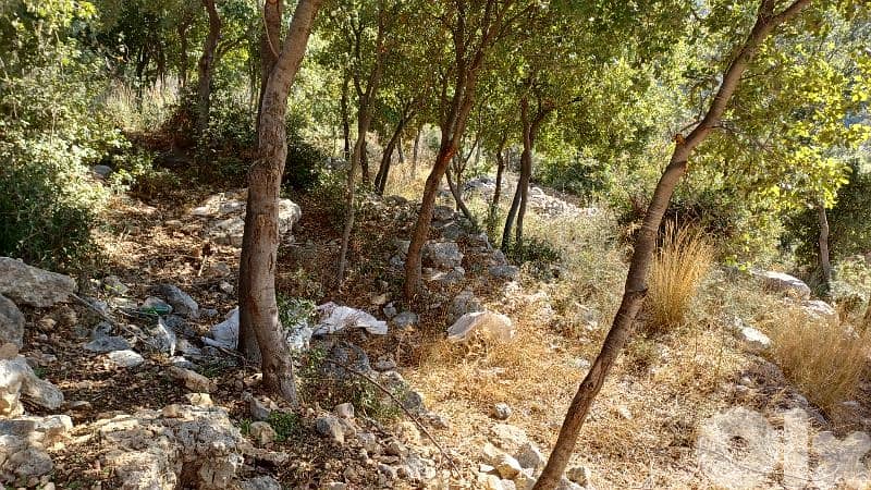 lands for sale in Oura أرض للبيع في عورا 7