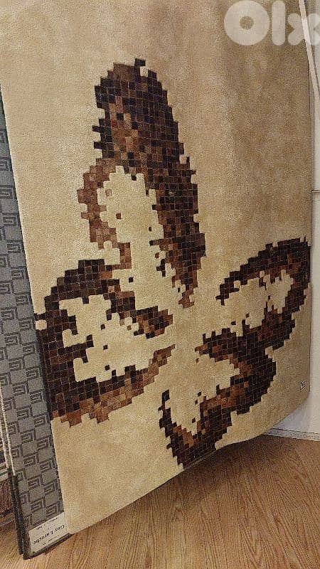 black and whit half pony from guy laroshe 1