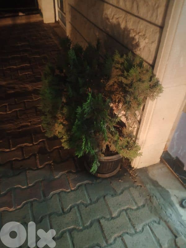 محل اجهزة خليوية للبيع منطقة الشوف 7