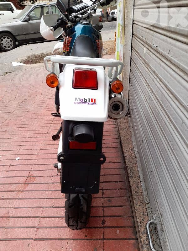 لبنان طرابلس 3