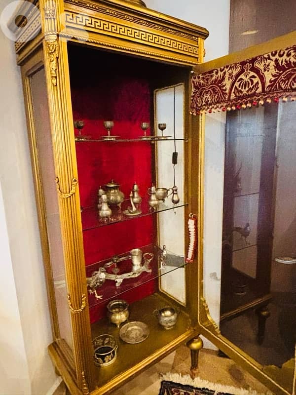 فيترين فيرزتشي 6