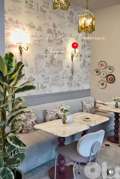 Dentelle Du Moi ( used chairs)