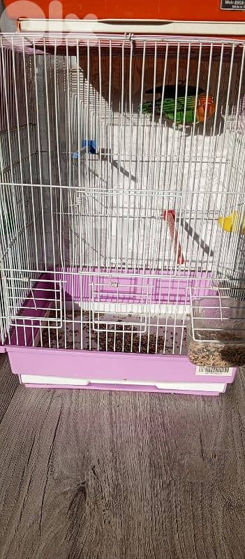 للبيع فيشر سعر 19$ تواصل مع رقم 70722725 2