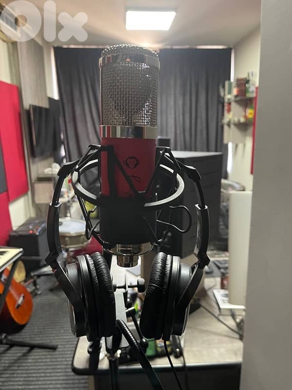 Monkey Banana Mangabey Tube Condenser Microphone 1