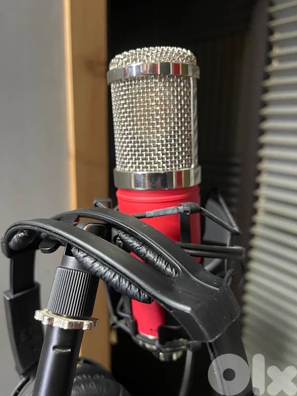 Monkey Banana Mangabey Tube Condenser Microphone 5