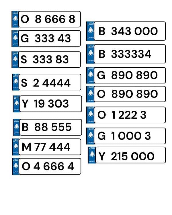 all types of number plates 1