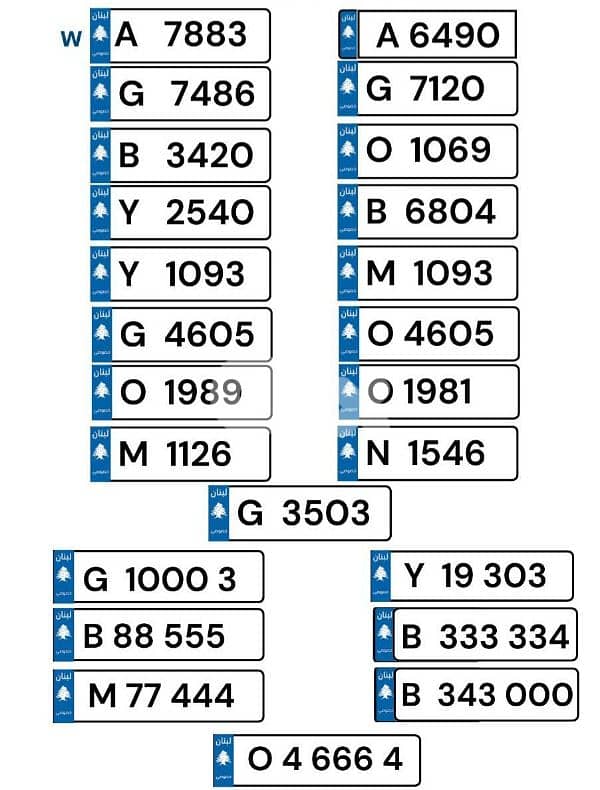 all types of number plates 2