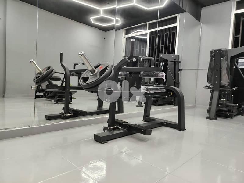 Seated Calf machine new 1