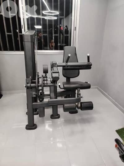 Leg ext / curl new heavy duty