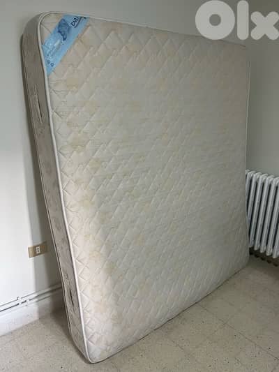 REVA Luminosa Spring Mattress