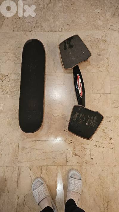 SnakeBoard USA and Skateboard