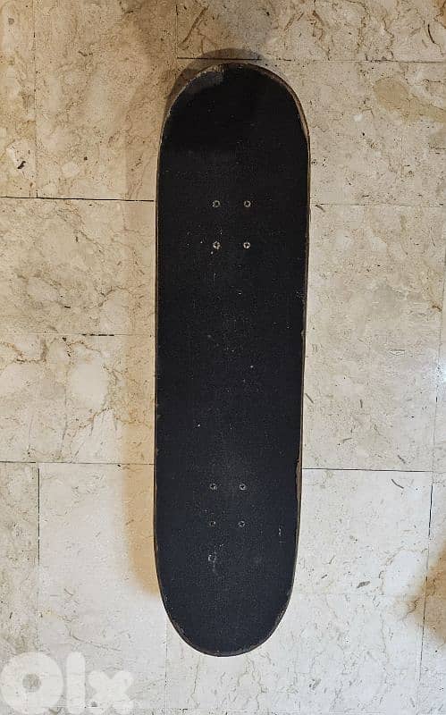 SnakeBoard USA and Skateboard 1