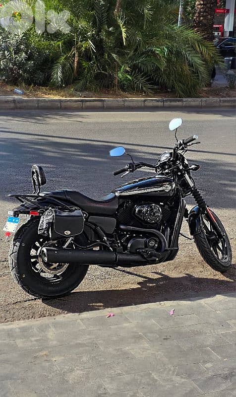 Harley-Davidson Street 500 - Excellent Condition 0