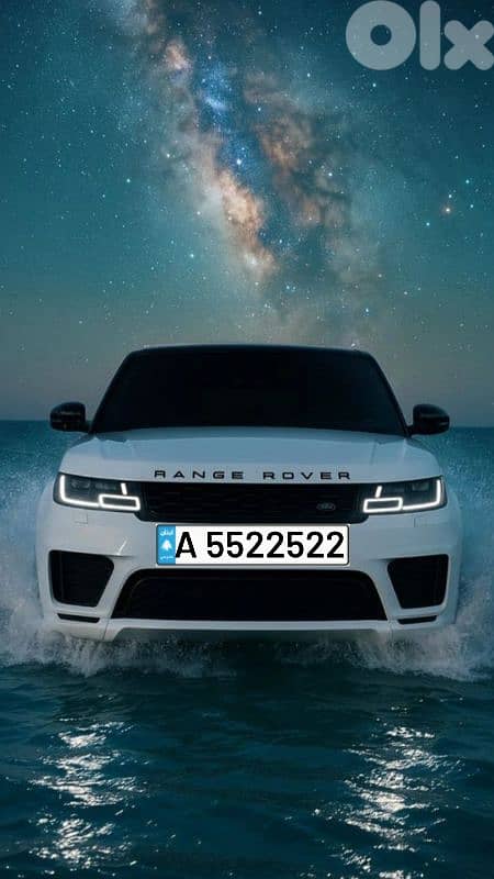 Golden Car Plate Numbers 3