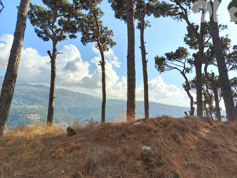 Land for Sale in Kaakour – 1,600 sqm أرض للبيع في قعقور 3