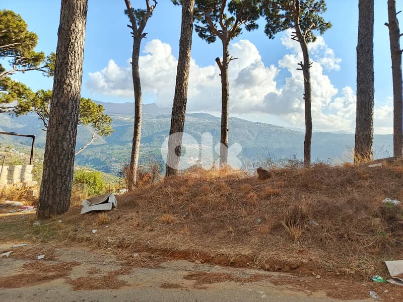 Land for Sale in Kaakour – 1,600 sqm أرض للبيع في قعقور 5