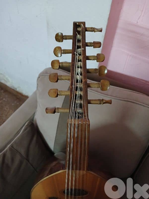 عود زرياب مودل تركي للبيع 4