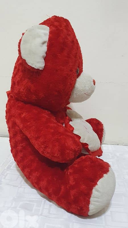 Teddy  bear  used  like  new  beyrout ashrafiye 15 $     03723895 2
