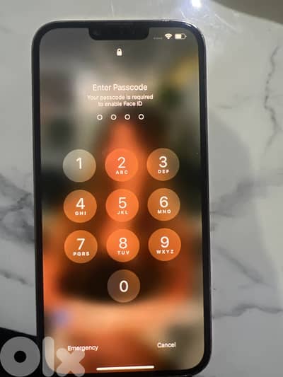 Apple iPhone 13 pro max 1 terra