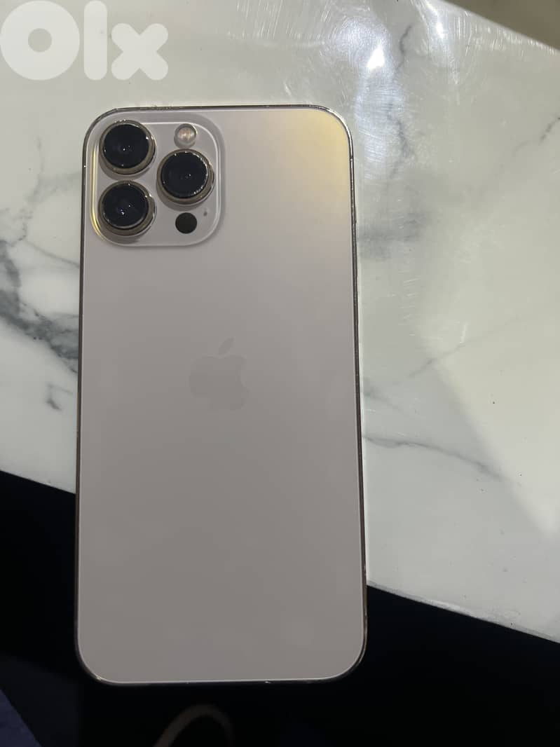 Apple iPhone 13 pro max 1 terra 1