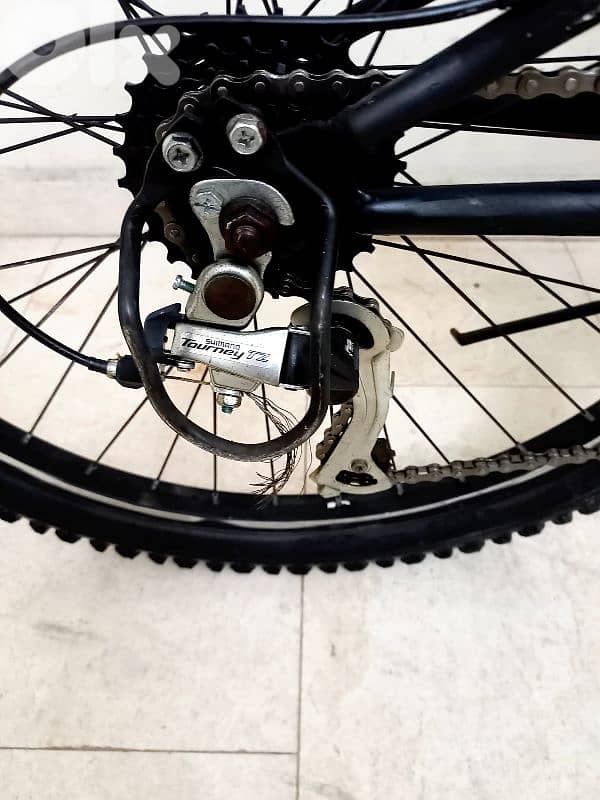 بسكليت اوروبي 5