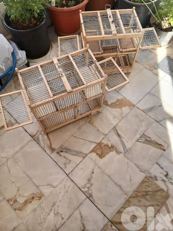 افاص مع ملاطش 0