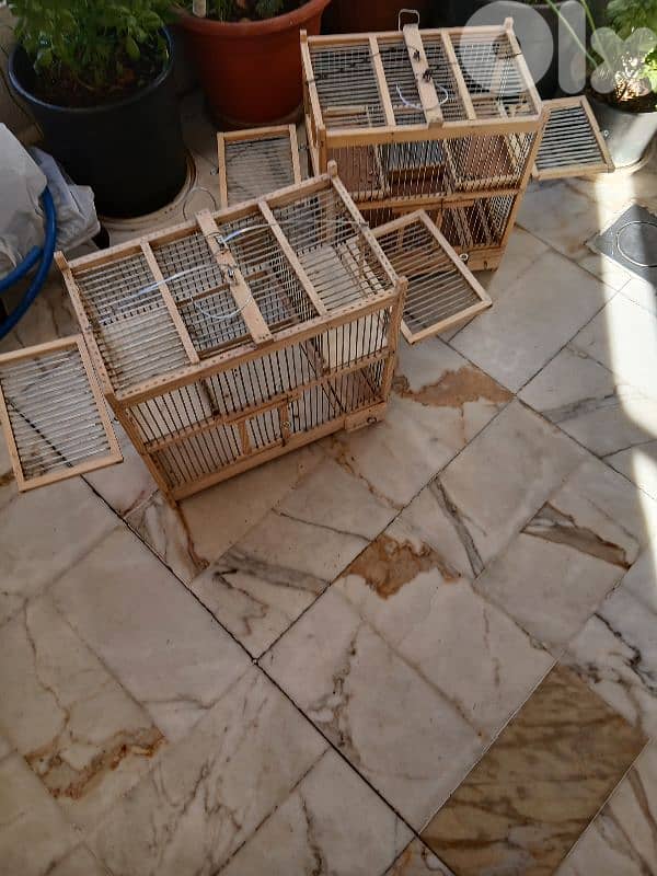 افاص مع ملاطش 1