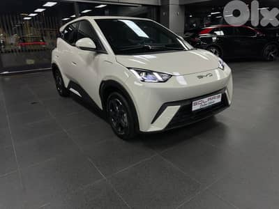 BYD Seagull Flying version 2025