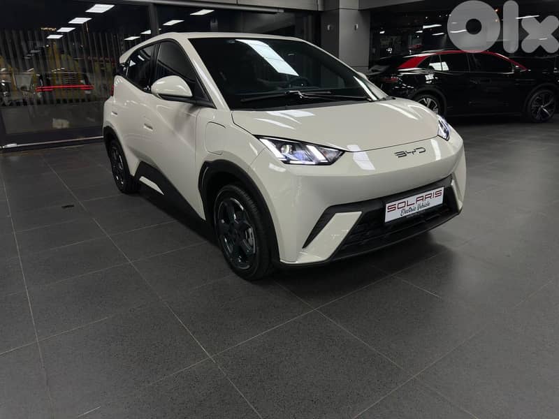 BYD Seagull Flying version 2025 0