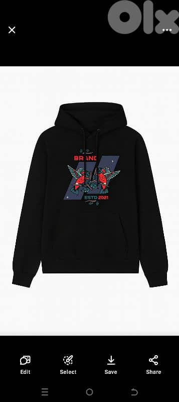 printed and unprinted hoddies 4