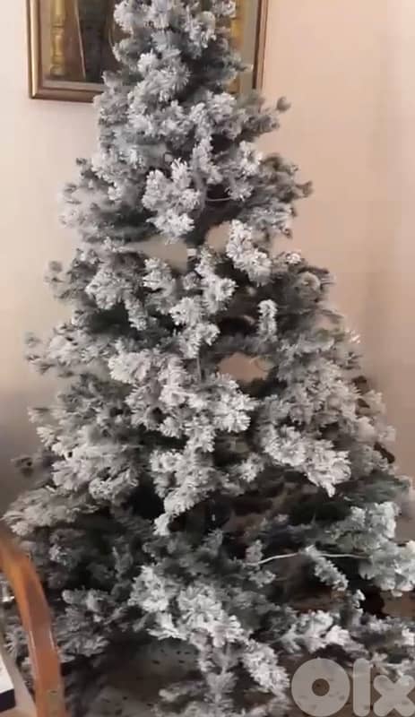 Christmas tree 0