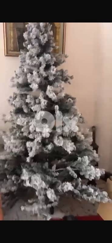 Christmas tree 5