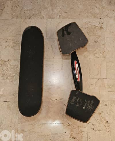 SnakeBoard USA and Skateboard