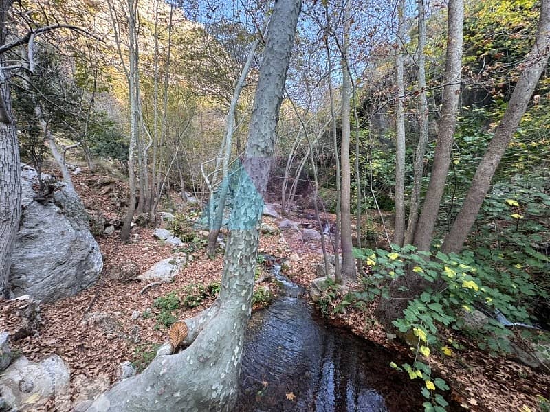 14,751m2 Prime Riverside Land+Mountain View in Tannourineأرض في تنورين 1