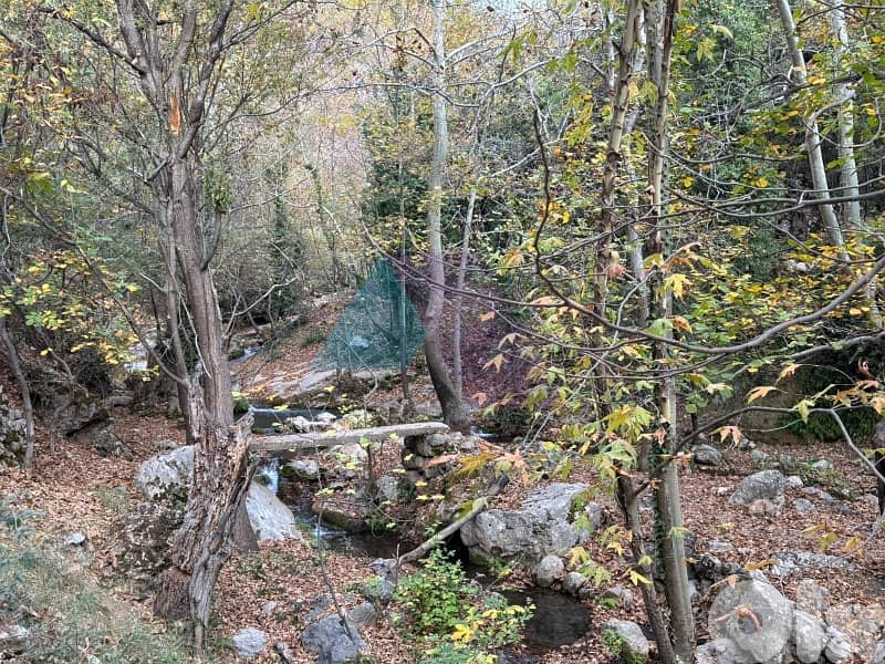 14,751m2 Prime Riverside Land+Mountain View in Tannourineأرض في تنورين 3