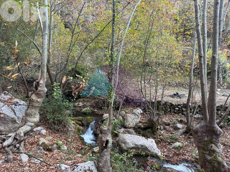 14,751m2 Prime Riverside Land+Mountain View in Tannourineأرض في تنورين 6