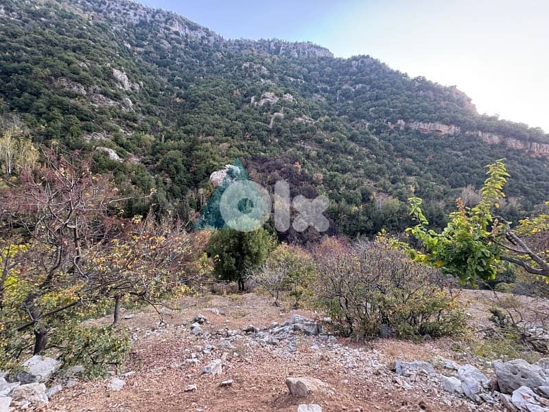 14,751m2 Prime Riverside Land+Mountain View in Tannourineأرض في تنورين 8