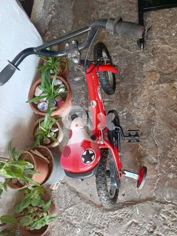 سد البورشية بجانب حلوات الملك 0