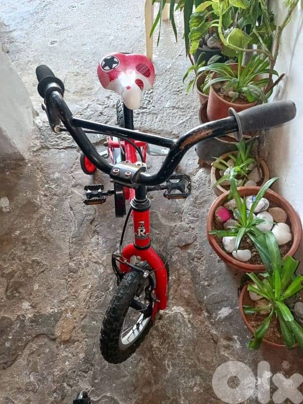 سد البورشية بجانب حلوات الملك 2