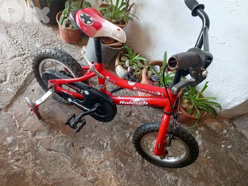 سد البورشية بجانب حلوات الملك 3