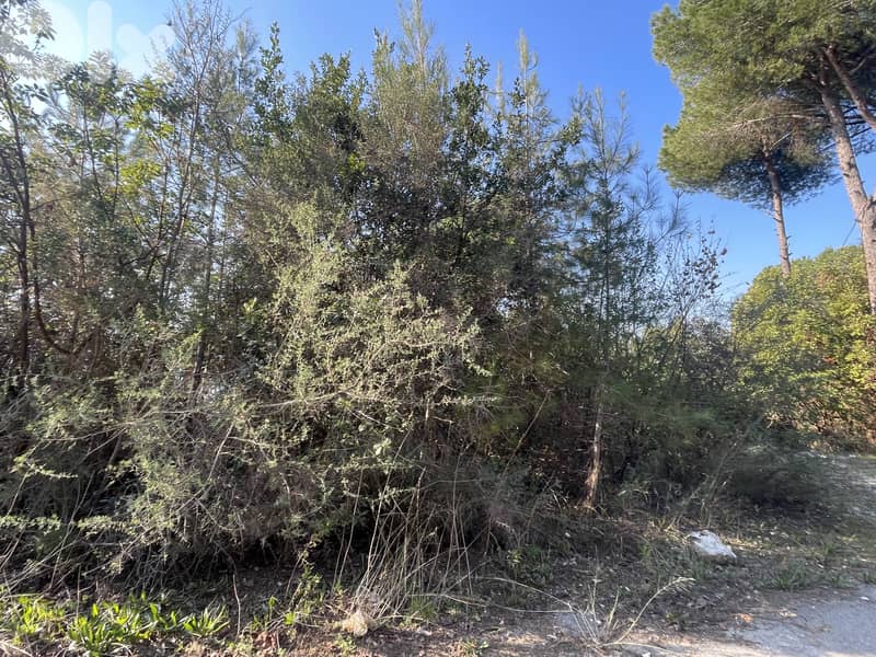 RWK348JA - 1227 SQM Amazing Land for Sale in Adma 0