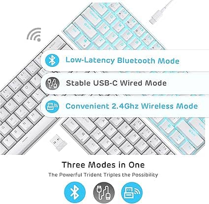 RK ROYAL KLUDGE RK61 2