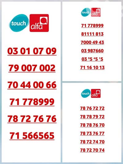 تشريج سعر حلو سريعة