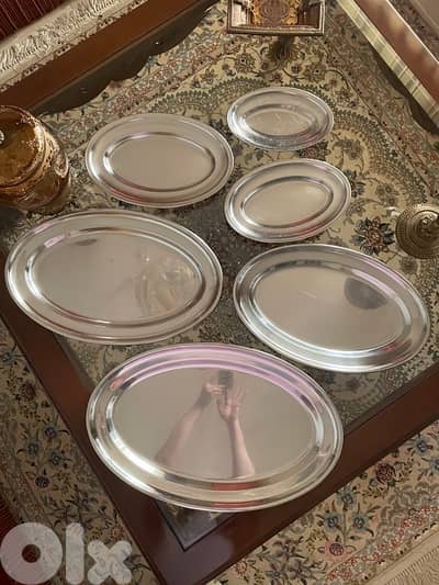 6 Pieces Stainless Steel Plates