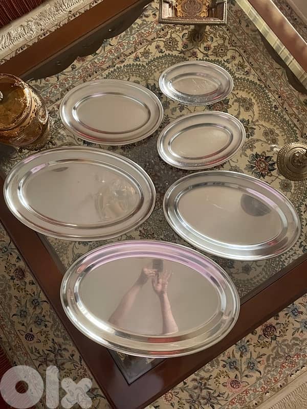 6 Pieces Stainless Steel Plates 0