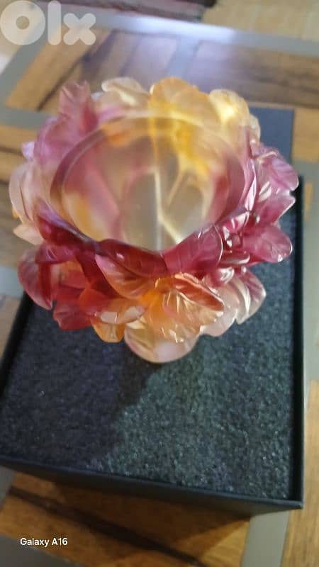 صيدا الغازيه 8