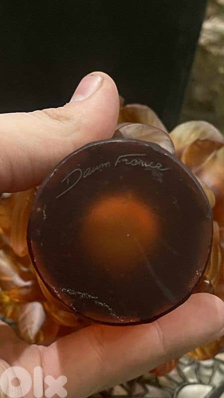 صيدا الغازيه 12