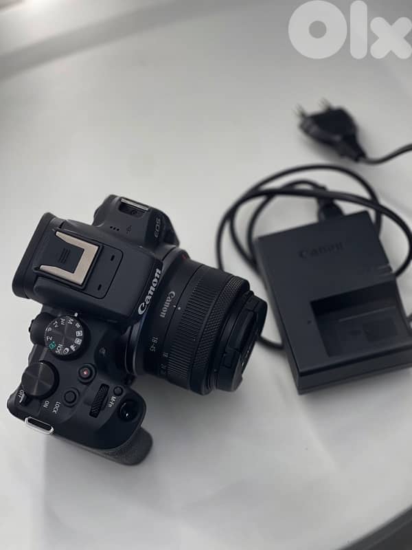 Canon EOS R10 + DJI RS3 Mini Gimbal 4